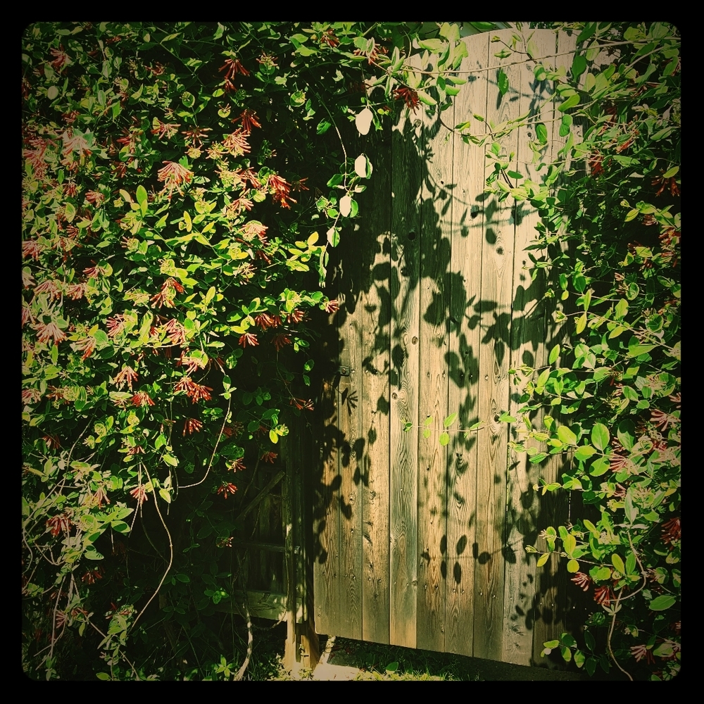 Meet your Posher, Laurie